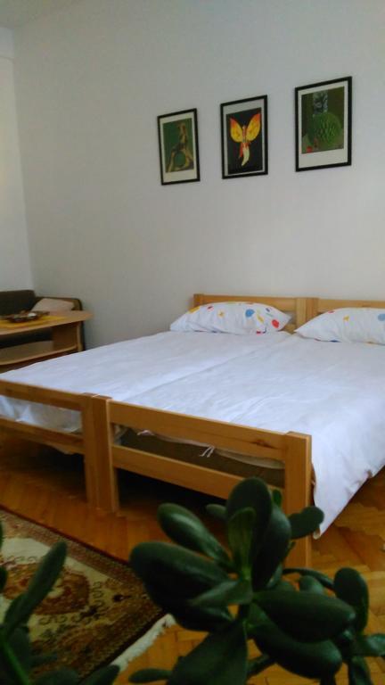 Rajka Apartment เทรบินเย ภายนอก รูปภาพ